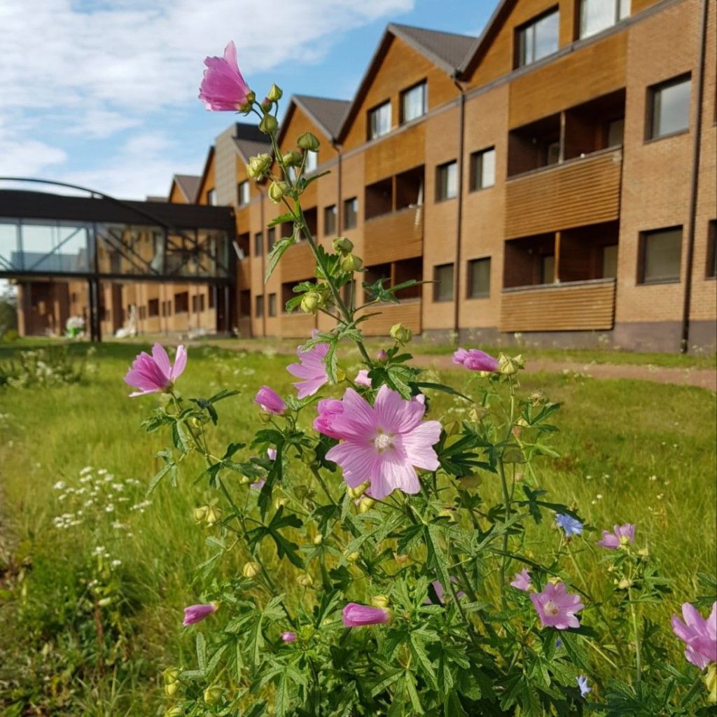 Slaugos ligoninė Vilniuje